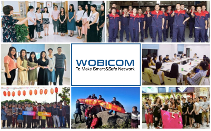 INTRODUCTION OF WOBICOM