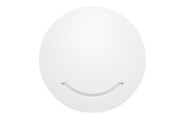 AP240 1200Mbps 802.11ac Wireless AP 2*100Mbps Ethernet Ports